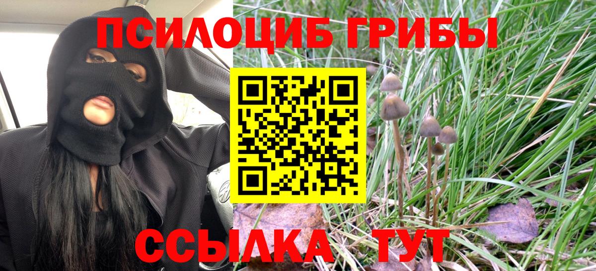 Галлюциногенные грибы мухоморы  Вход с VPN  Людиново 