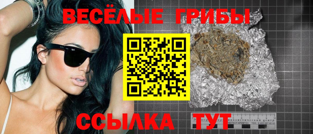 Галлюциногенные грибы Psilocybe Людиново